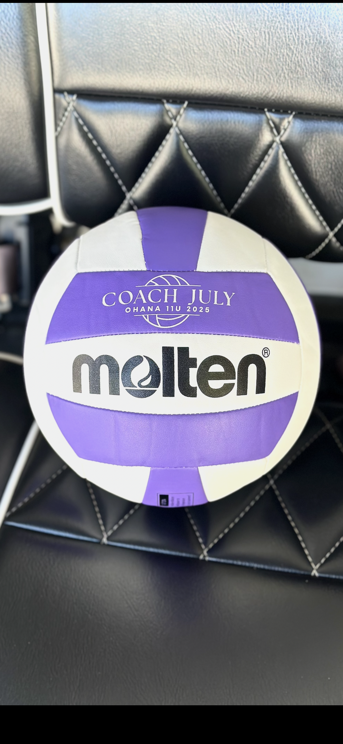 Custom Volleyball